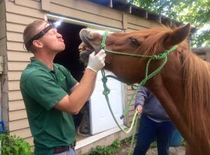 10151987_987997291248392_8918619439041980671_n